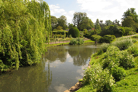 Global-Telecalls-Women-4b